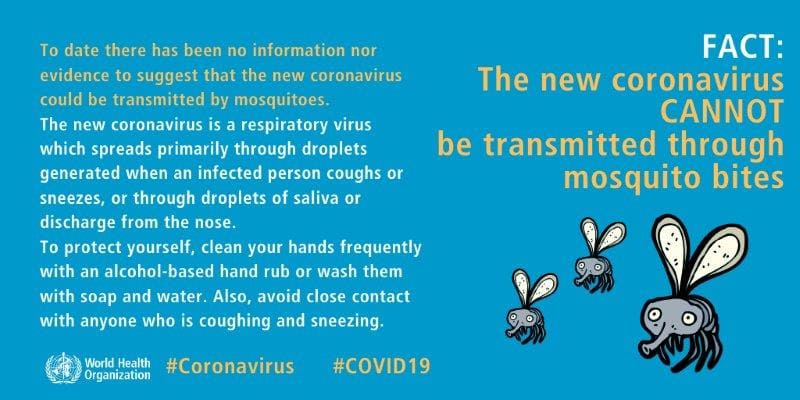 Il Coronavirus non è trasmesso dalle zanzare: Coronavirus CANNOT be trasmitted through mosquito bite