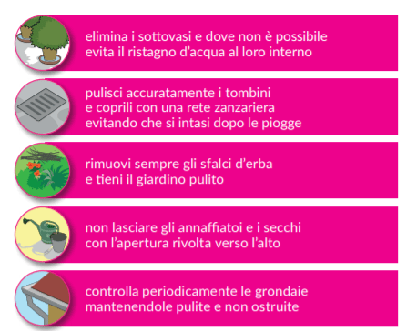 Le regole da non dimenticare per prevenire la proliferazione della zanzara tigre - prima parte