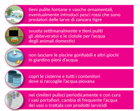 Le regole da non dimenticare per prevenire la proliferazione della zanzara tigre - seconda parte