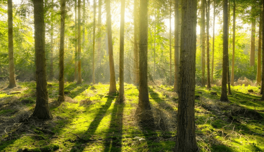 Cooplar è attenta alle tematiche ambientali